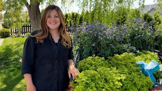 Planting Bush Clematis, Ornamental Oregano and a Bloomerang Lilac Tree! 🌸🌳🌿