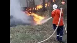 Десятки гектаров леса горят в зоне отчуждения в Чернобыле