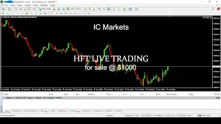 HFT BOT on IC Markets: Live Trading Session Revealed! +650