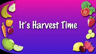 It's Harvest Time | KARAOKE VERSION (NO GUIDE VOCALS)  | harvest songs for schools and children