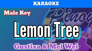 Lemon Tree by Gustaxa & Mei Wei (Karaoke : Male Key)