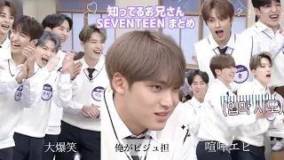 【SEVENTEEN 知ってるお兄さん 日本語字幕 】爆笑シーンまとめ / 本業芸人 / セブチ #seventeen #carat #セブチ #知ってるお兄さん