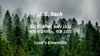 J.S.Bach Siciliano BWV 1031 l 바흐 시칠리아노 BWV 1031 l Classic Piano ㅣ힐링,공부,집중 음악ㅣ잔잔한 클래식 피아노 BGM