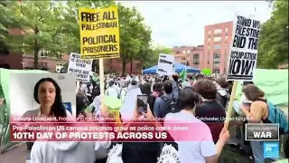 Pro-Palestinian protests 'gaining steam and momentum' at US colleges • FRANCE 24 English