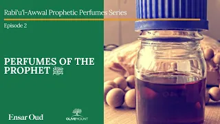 Rabī‘u'l-Awwal Prophetic Perfume Series - Perfumes of the Prophet ﷺ - Episode 2