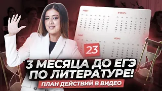 Ровно 3 месяца до ЕГЭ по литературе! Что делать?