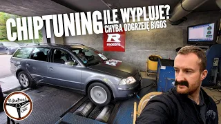 Passeratti i kuracja witaminowa. CHIPTUNING.