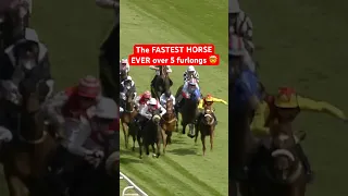 THE FASTEST HORSE EVER OVER FIVE FURLONGS 😮🚀 #horse #epsomdowns #horserace #horseracing