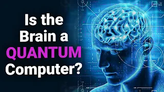 Stuart Hameroff: Is the Brain a Quantum Computer? (4K)