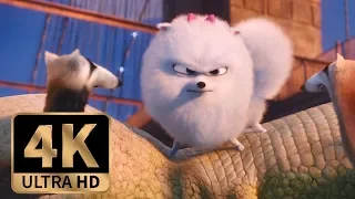 The Secret Life of Pets (2016) - Gidget Bridge Fight Scene (9/10)