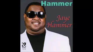 Jaye Hammer -  Party Mood