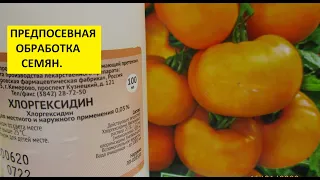 Хлоргексидин. Как протравить семена перед посевом быстро и безопасно? Обработайте Хлоргексидином!