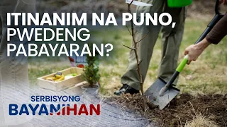 Ano ang ibig sabihin ng 'planter in good faith' at 'planter in bad faith?'