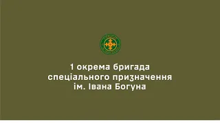 Артилеристи ліквідували ворожий автоматичний міномет 2Б9 «Васильок»