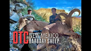 NM OTC Barbary Sheep Double | 30" Ram & 22" Ewe