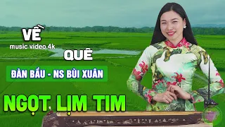 VỀ QUÊ - ĐÀN BẦU NS BÙI XUÂN➤HÒA TẤU KHÔNG LỜI NHẠC ĐÀN BẦU 2023 CỰC HAY, SAY ĐẮM VẠN CON TIM