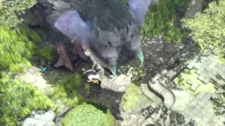The Last Guardian: Boy Wakes Up (After Being Eaten By Trico)