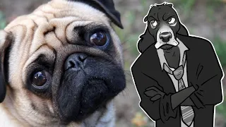 What's Wrong With PUGS (and Pedigree Dog Breeding) | Cynical Reviews