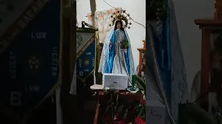 Flores de Mayo