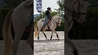 Working Equitation lusitano Inca & Nicole Silva World Champion of Juniors & Young riders 2023 part 2