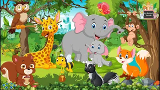 Wild Animal Sounds: Owl, Elephant, Monkey, Fox, Skunk, Squirrel, Giraffe - Cute Little Animals