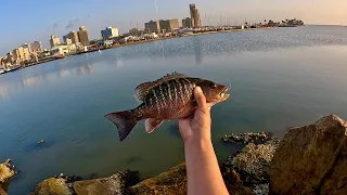 Fishing DOWNTOWN for Mangrove Snapper (Corpus Christi, Tx)