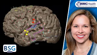 Temporal Lobe Epilepsy Seminar 1: Overview