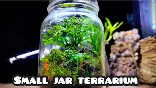 Mini Small Jar Terrarium || Moss Terrarium || Rio Got Fish || 🪴🪴🪴