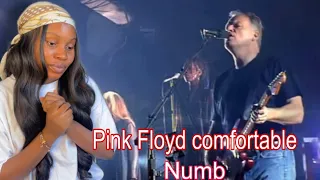 First Time Reaction To Pink Floyd -“ Comfortable Numb