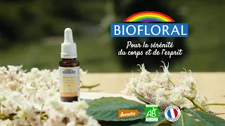 BIOFLORAL | Fabrication Fleurs de Bach - White Chestnut