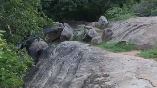newearth - Strange Rock Tracks at Mahabalipuram, India ( like ancient cart ruts )