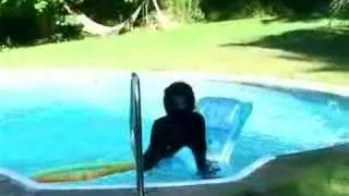 SWIMMING SASQUATCH CAUGHT ON TAPE