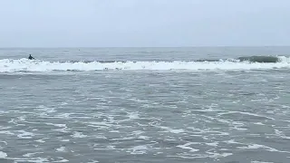 Surfer and Dolphins Beyond the Breakers