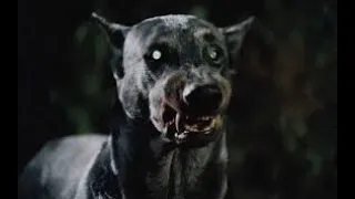 Zoltan o Cão Vampiro de Drácula 1978 TvRip SBT