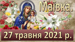 Маївка 27 травня 2021 р.