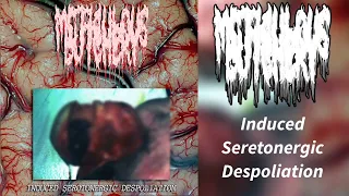 Meticulous Butchery - Induced Seretonergic Despoliation (2021, Experimental Brutal Death Metal)
