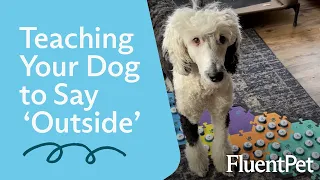 Getting Your Dog Started Using Buttons with 'Outside'