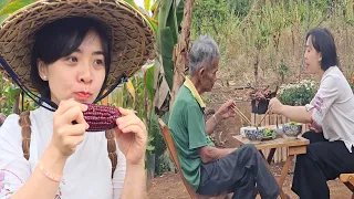 Enjoying Fresh Purple Corn in the Garden: Cherished Moments with Grandpa | Ly Phuc Hang