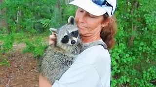 Animal Who Found Their Own Way to Say “I Love You Human” - Cute Animal Videos