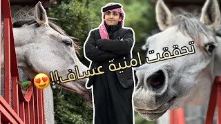 خيل عربي اصيل مفأجاة عساف😍🐎