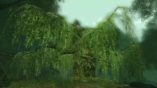 LOTRO Unreleased Soundtrack - Further and Further into the Old Forest