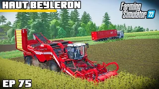 WAS IT WORTH IT? FIRST POTATO HARVEST | Farming Simulator 22 - Haut-Beyleron | Episode 75