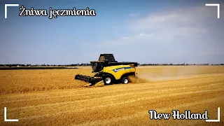 ☆Żniwa jęczmienia ozimego 2021☆New Holland CX6.80☆GR.Cybulak☆