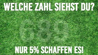 Hast du ein PERFEKTES SEHVERMÖGEN? - Nur 5% schaffen diesen Sehtest!