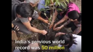 India planted 66 million trees in just 12 hours!