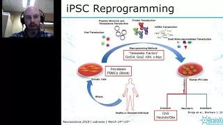 IPSC-Derived Human Neurons: Introduction and Application