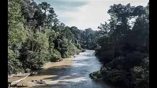 DANUM VALLEY, SABAH (DJI SPARK)