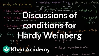 Discussions of conditions for Hardy Weinberg | Biology | Khan Academy