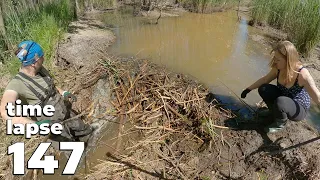 Beaver Dam Removal No.147 - Time-Lapse Version - With My Wife