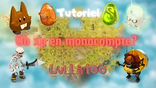 Tuto: Où xp du lvl 1 à 100 en monocompte sur dofus?